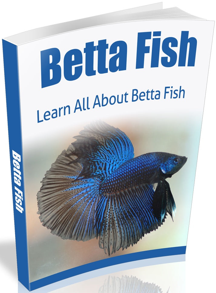Betta Fish ebook - creazives