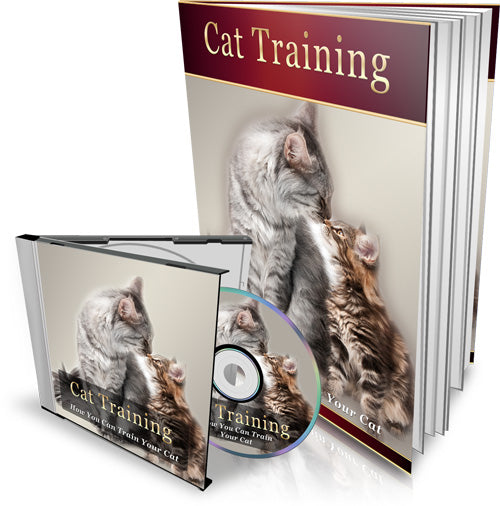 Cat-Training ebook - creazives