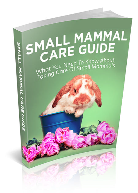 Small-Mammal-Care-Guide ebook - creazives