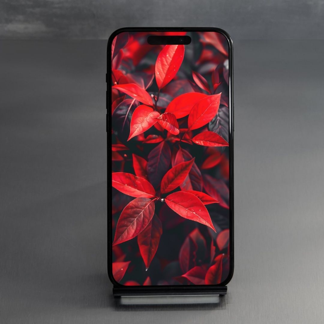 Floral 4k Mobile wallpaper 32 - creazives