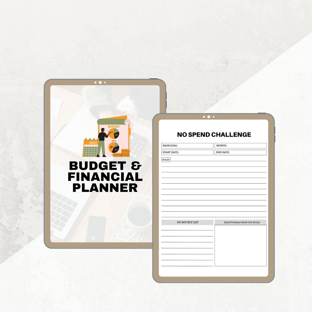 Budget & Financial Planner
