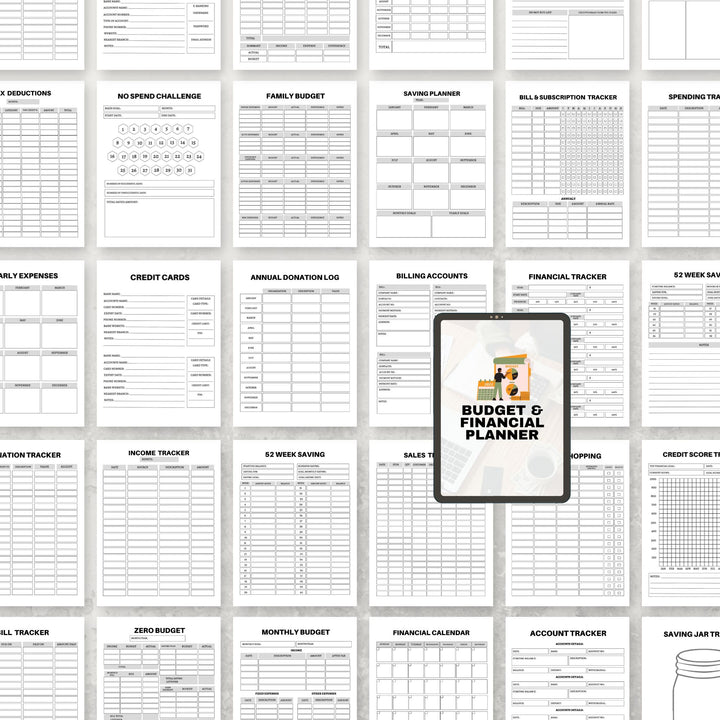 Budget & Financial Planner