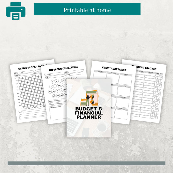 Budget & Financial Planner