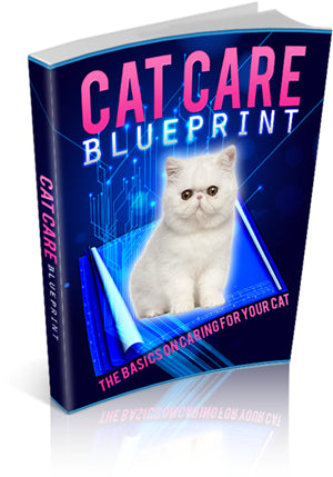 Cat-Care-Blueprint ebook - creazives