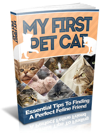 My-First-Pet-Cat ebook - creazives