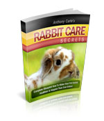 Rabbit-Care-Secrets ebook - creazives